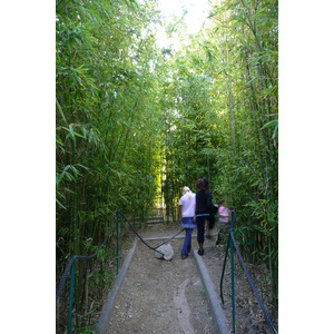 照片 法国(France) 尼斯(Nice) 凤凰公园(Phoenix Parc) 2007-10 70