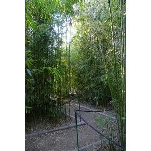 照片 法国(France) 尼斯(Nice) 凤凰公园(Phoenix Parc) 2007-10 63