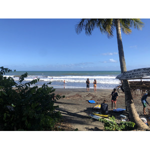 照片 瓜德罗普(Guadeloupe) 巴纳尼耶(Bananier) 2021-02 7