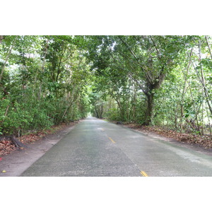 照片 塞舌尔(Seychelles) 普拉兰岛(Praslin) 2011-10 75
