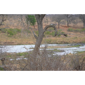 照片 南非(South Africa) 克鲁格国家公园(Kruger National Park) 鳄鱼河(Crocodile River) 2008-09 10