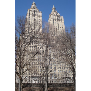 照片 美国(United States) 纽约(New York) 中央公园(Central Park) 2006-03 42