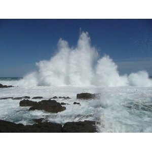 照片 南非(South Africa) 齐齐卡马国家公园(Tsitsikamma National Park) 2008-09 98