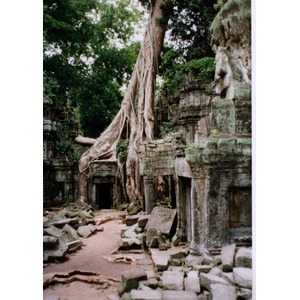 照片 柬埔寨(Cambodia) 吴哥(Angkor) 1996-06 27