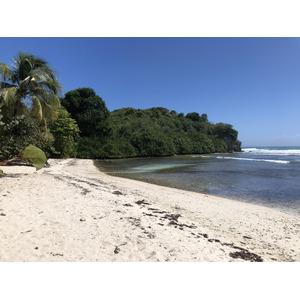 照片 瓜德罗普(Guadeloupe) 城堡角(Castle Point) 2021-02 289