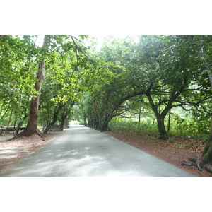 照片 塞舌尔(Seychelles) 普拉兰岛(Praslin) 2011-10 107