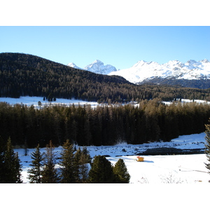 照片 瑞士(Switzerland) 蓬特雷西纳(Pontresina) 2007-01 84