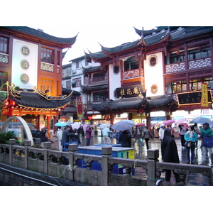 照片 中国(China) 上海(Shanghai) 2002-01 12