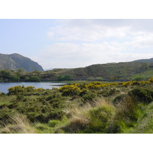 照片 爱尔兰(Ireland) 凯里郡(Kerry) 卡拉湖(Caragh Lake) 2004-05 42