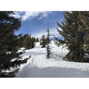 照片 法国(France) 阿尔利河畔普拉(Praz sur Arly) 2025-02 66