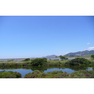 照片 法国(France) 蔚蓝海岸(French Riviera) 耶尔半岛(Hyeres peninsula) 2008-05 2