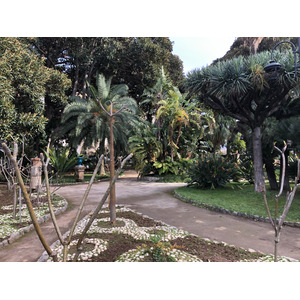 照片 意大利(Italy) 西西里岛(Sicily) 巴勒莫(Palermo) 诺曼王宫(Palazzo dei Normanni) 2020-02 30