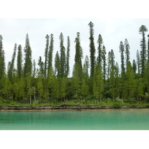 照片 新喀里多尼亚(New Caledonia) 松树岛(Ile des pins) 奥罗湾(Oro Bay) 2010-05 44