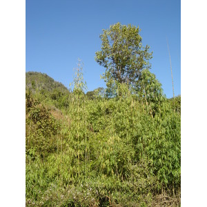 照片 泰国(Thailand) 邦玛帕(Pang Mapha) 2005-12 116