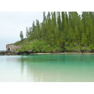 照片 新喀里多尼亚(New Caledonia) 松树岛(Ile des pins) 奥罗湾(Oro Bay) 2010-05 47