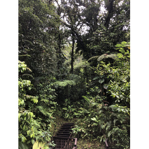照片 瓜德罗普(Guadeloupe) 卡尔贝瀑布(Carbet Falls) 2021-02 16