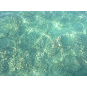 照片 斐济(Fiji) 阿穆努卡岛至漂流者岛(Amunuca Island to Castaway Island) 2010-05 44