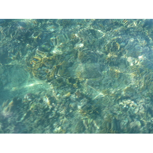 照片 斐济(Fiji) 阿穆努卡岛至漂流者岛(Amunuca Island to Castaway Island) 2010-05 53
