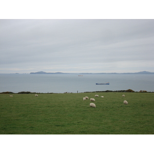 照片 英国(United Kingdom) 彭布罗克郡(Pembrokeshire) 2006-05 1