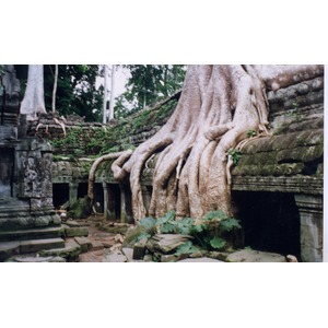 照片 柬埔寨(Cambodia) 吴哥(Angkor) 1996-06 37