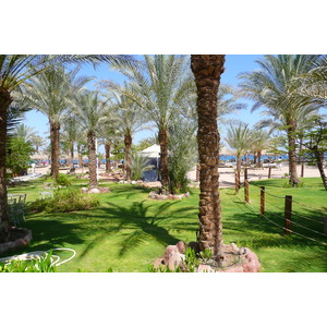 照片 埃及(Egypt) 沙姆沙伊赫(Sharm el Sheikh) 2008-06 31