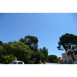 照片 法国(France) 蔚蓝海岸(French Riviera) 耶尔半岛(Hyeres peninsula) 2008-05 18