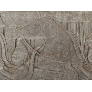 照片 柬埔寨(Cambodia) 暹粒(Siem Reap) 吴哥窟(Angkor Wat) 2023-01 222