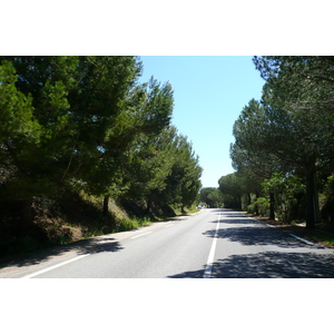 照片 法国(France) 蔚蓝海岸(French Riviera) 耶尔半岛(Hyeres peninsula) 2008-05 10