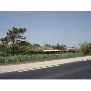 照片 法国(France) 卡马格(Camargue) 2006-06 5