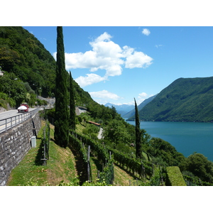 照片 瑞士(Switzerland) 甘德里亚(Gandria) 2009-06 31