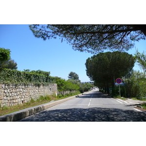 照片 法国(France) 蔚蓝海岸(French Riviera) 耶尔半岛(Hyeres peninsula) 2008-05 22