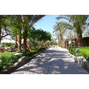 照片 埃及(Egypt) 沙姆沙伊赫(Sharm el Sheikh) 2008-06 35