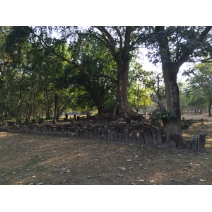 照片 泰国(Thailand) 西沙差那莱历史公园(Si satchanalai historical park) 2014-12 173