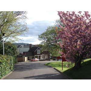 照片 英国(United Kingdom) 蒙茅斯(Monmouth) 2006-05 59