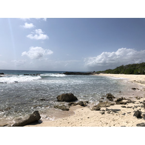 照片 瓜德罗普(Guadeloupe) 城堡角(Castle Point) 2021-02 310