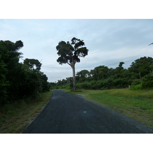 照片 新喀里多尼亚(New Caledonia) 松树岛(Ile des pins) 2010-05 29