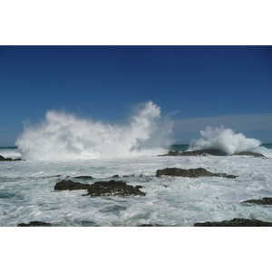 照片 南非(South Africa) 齐齐卡马国家公园(Tsitsikamma National Park) 2008-09 274