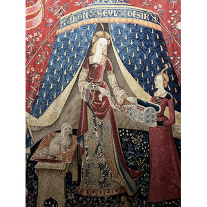 照片 法国(France) 巴黎(Paris) 克吕尼博物馆(Cluny Museum) 2023-02 12