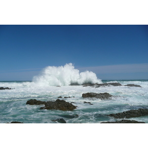 照片 南非(South Africa) 齐齐卡马国家公园(Tsitsikamma National Park) 2008-09 211