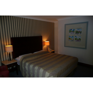 照片 爱尔兰(Ireland) 都柏林(Dublin) 斯蒂芬绿地酒店(Stephen's Green Hotel) 2008-09 10
