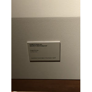 照片 意大利(Italy) 西西里岛(Sicily) 巴勒莫(Palermo) 诺曼王宫(Palazzo dei Normanni) 2020-02 51