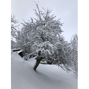 照片 法国(France) 拉克吕萨(La Clusaz) 2017-12 281
