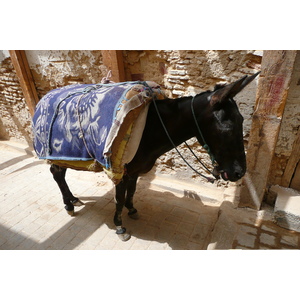 照片 摩洛哥(Morocco) 非斯(Fes) 2008-07 8