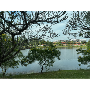 照片 泰国(Thailand) 普吉岛(Phuket) 普吉岛周边(Around Phuket) 2021-12 20