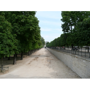 照片 法国(France) 巴黎(Paris) 杜乐丽花园(Garden of Tuileries) 2007-05 197