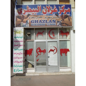 照片 阿联酋(United Arab Emirates) 艾因(Al Ain) 2005-03 64