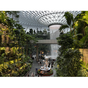 照片 新加坡(Singapore) 新加坡樟宜机场(Singapore Changi Airport) 2023-01 48