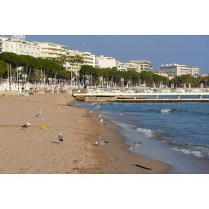 照片 法国(France) 戛纳(Cannes) 海滩(Beach) 2008-04 30