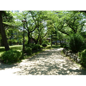 照片 日本(Japan) 东京(Tokyo) 墨田(Sumida) 2010-06 28