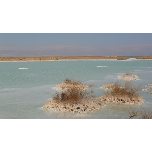 照片 以色列(Israel) 埃因博克(Boqeq) 2007-06 125